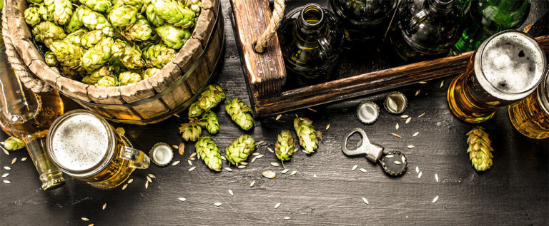 Foto: Headerbild Hopfen