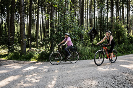 Foto: Holz