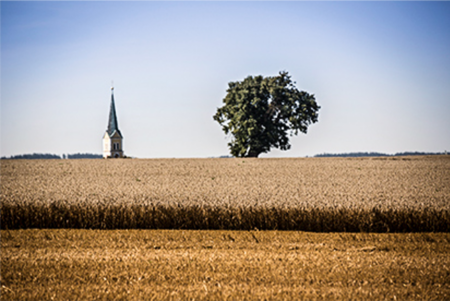 Foto: Jahreszeiten