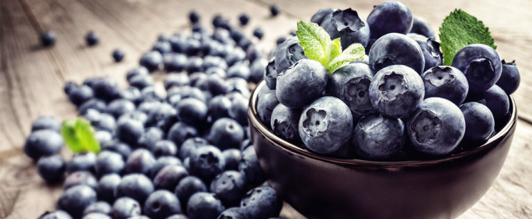 Foto: Heidelbeeren