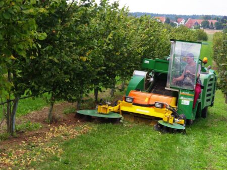 Ein landwirtschaftliches Fahrzeug erntet Haselnüsse zwischen Reihen von Bäumen auf einem Feld.