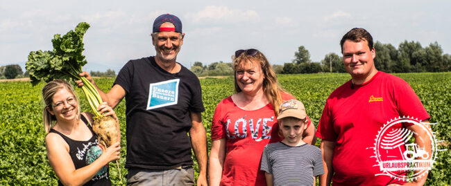 Fünf Personen stehen auf einem Feld mit Gemüse, während sie an einem Urlaubspraktikum teilnehmen.