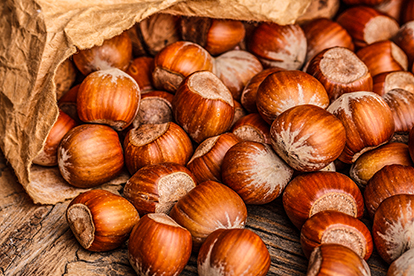 Haselnuss Adventskalender
