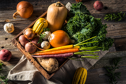 Grünkohl Adventskalender