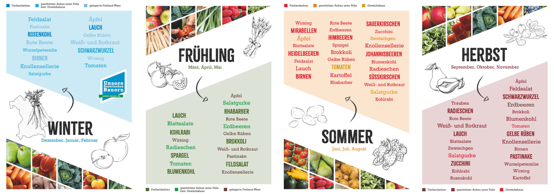 Saisonkalender zeigt saisonale Obst- und Gemüsesorten für Winter, Frühling, Sommer und Herbst zum Download.