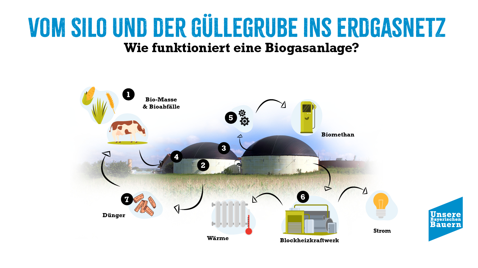 paprikapflanze mit kaffeesatz dngen Paprika Dnger - Mineralischer NPK Flssigdnger mit Stickstoff