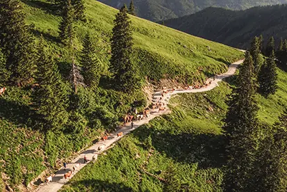 Foto: Wanderweg