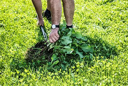 Foto: Bio-Milchbauer bei der Feldarbeit