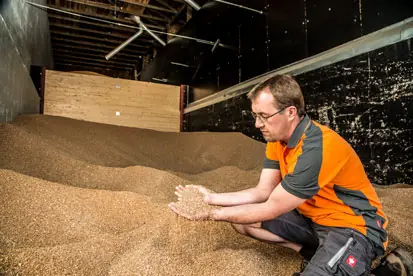 Foto: Futter für die Hühner