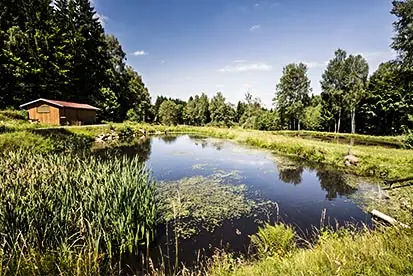 Foto: Fischteich