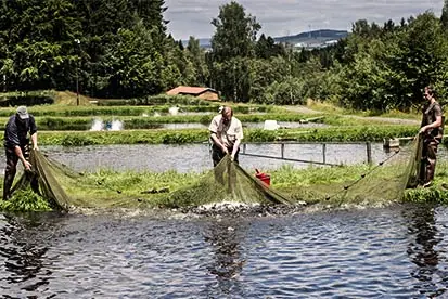 Foto: Fischfang