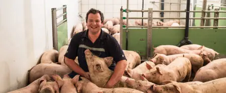 Ein Landwirt sitzt inmitten von Schweinen und zeigt eine enge Beziehung zu den Tieren in einem Stall.