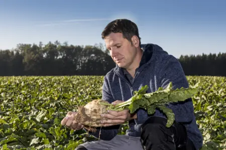 Foto: Landwirt Stephan mit Zuckerrübe