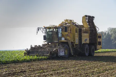 Foto: Rübenroder auf dem Feld