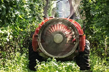 Foto: Ernte von Hopfen