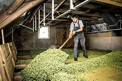 Foto: Hopfenlager