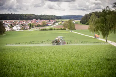 Foto: Unkräuterbehandlung