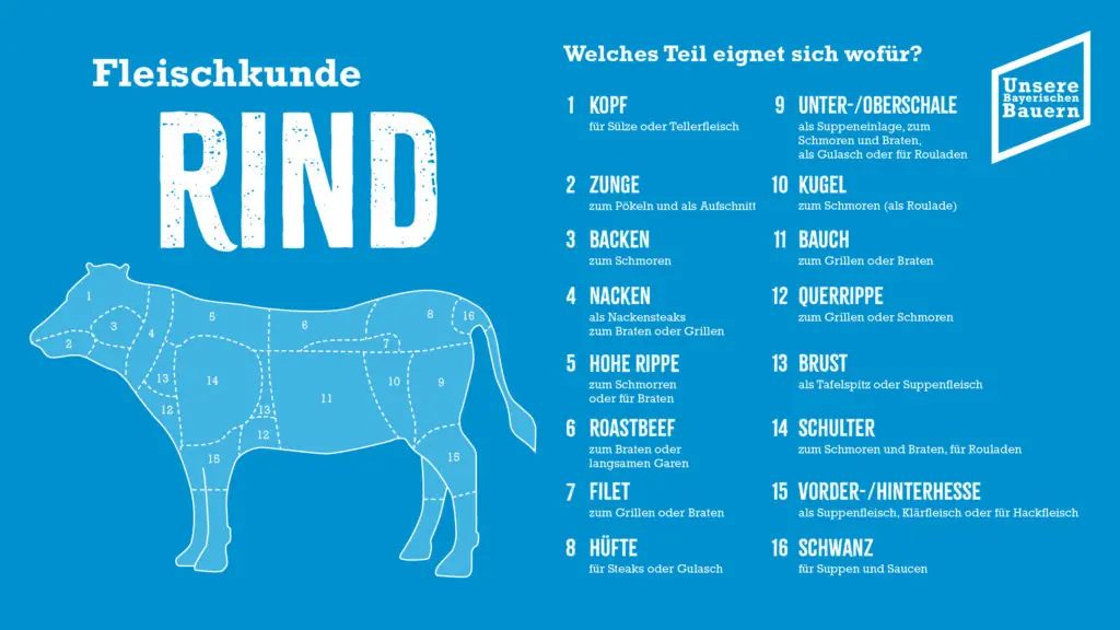Fleischkunde Rind Illustration, Rindfleisch