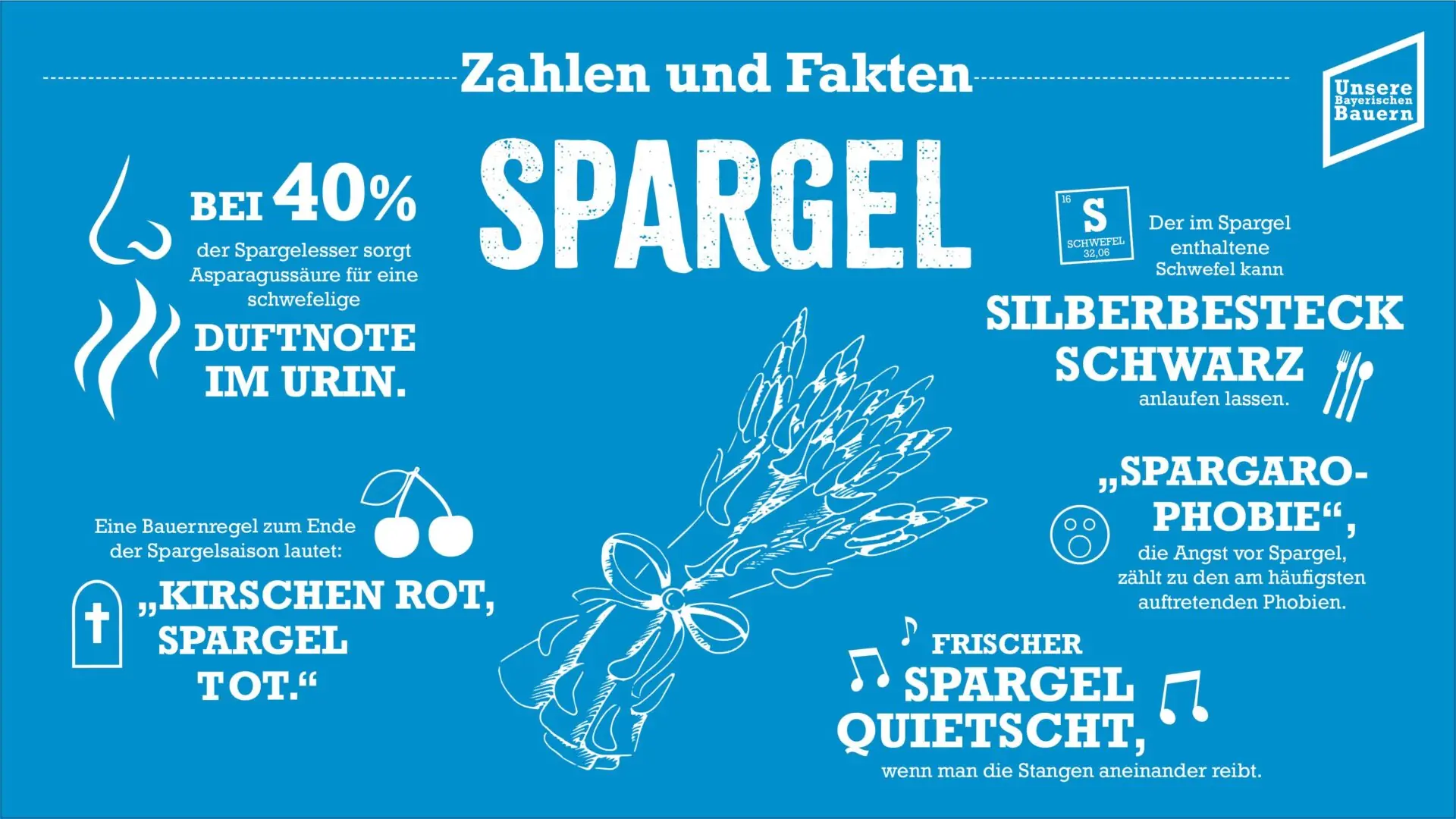 Foot: Informationen Spargel