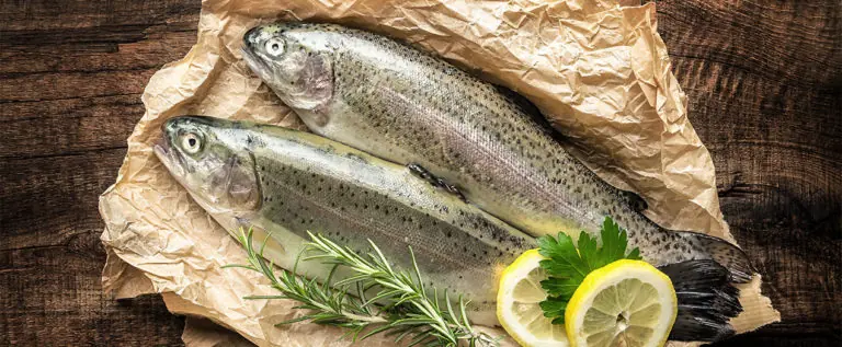 Foto: Headerbild Fisch
