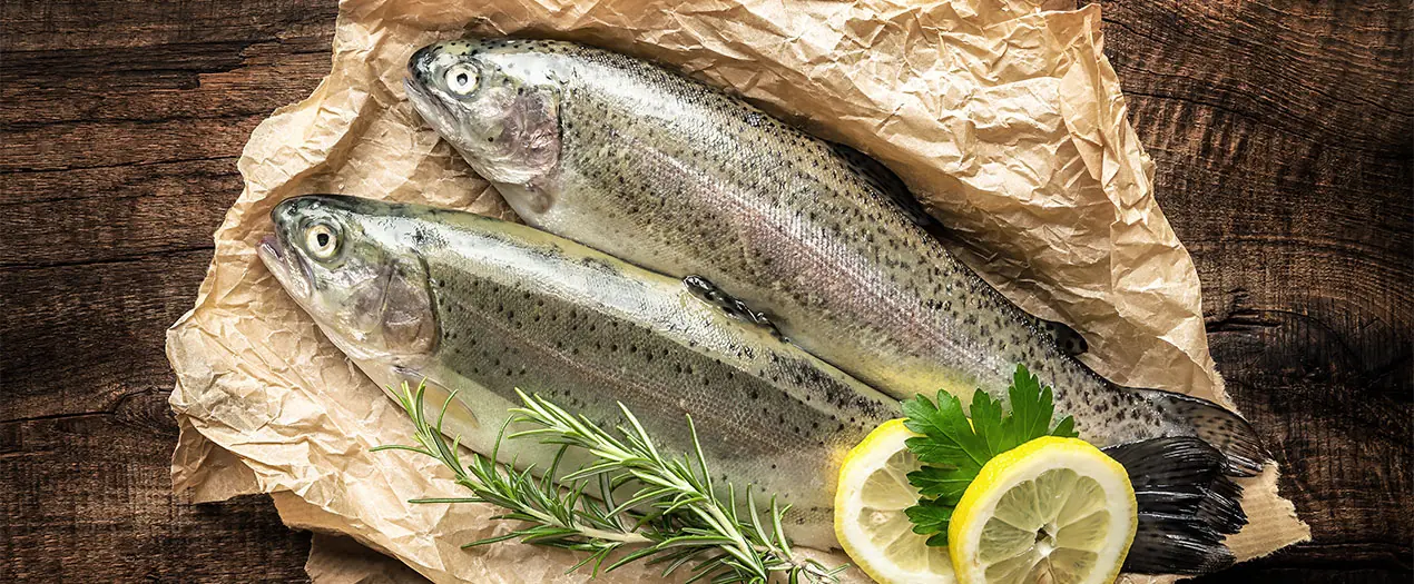 Foto: Headerbild Fisch