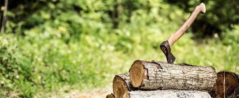 Foto: Headerbild Holz