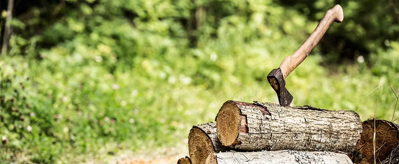 Foto: Headerbild Holz