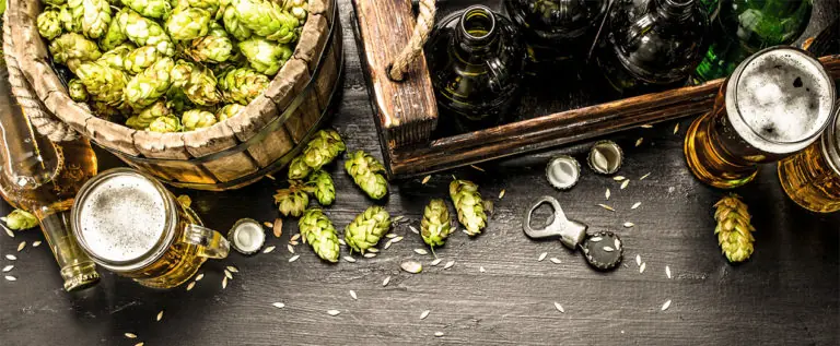 Foto: Headerbild Hopfen