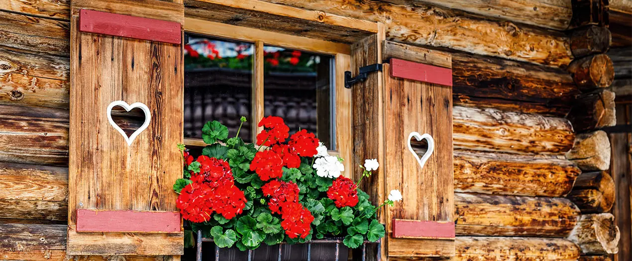 Foto: Holzfenster mit Blumen