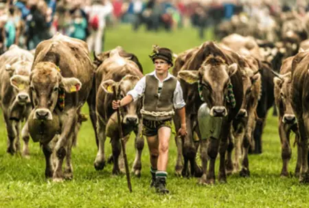 Foto: Milchregion Allgäu