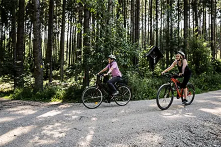 Foto: Holz