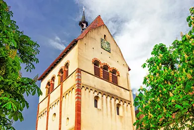 Foto: Obstregion Bodensee