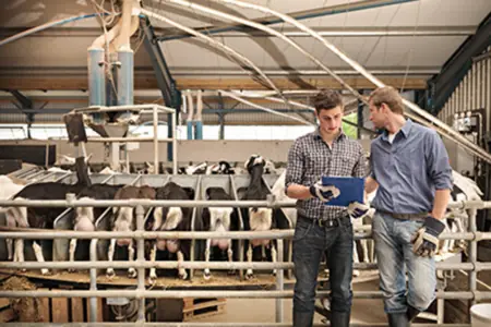 Foto: Landwirt