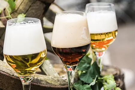 Foto: Hopfenregion Hallertau