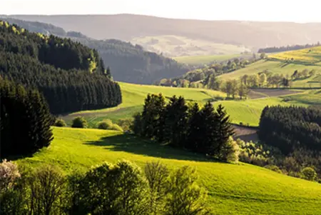 Foto: Waldregion Frankenwald