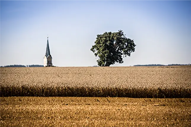 Foto: Jahreszeiten