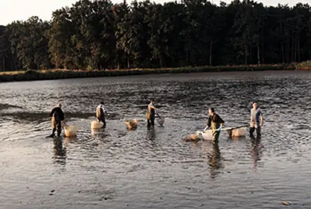 Foto: Fischregion Aischgrund