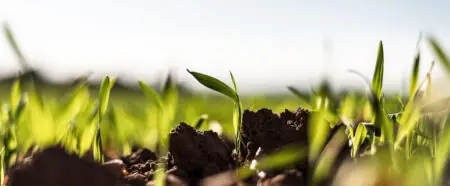 Foto: Frühling