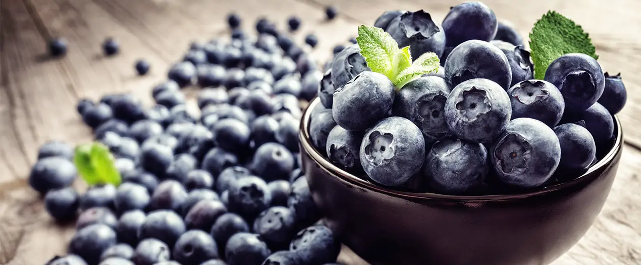 Foto: Heidelbeeren