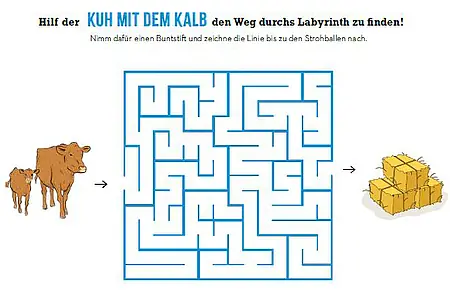 Foto: Labyrinth