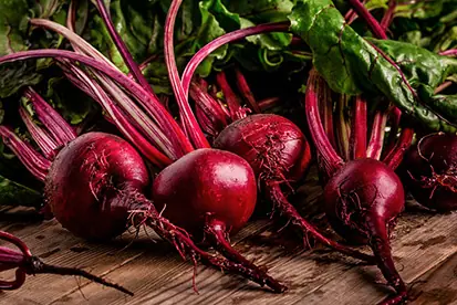 Foto: Rote Bete