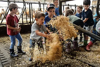 Foto: Kinder spielen mit Stroh