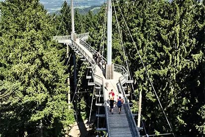 Foto: Baumwipfelpfad