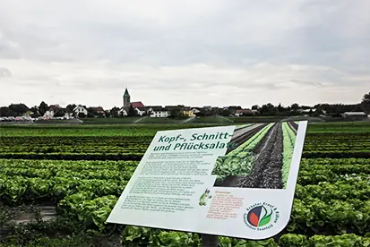 Foto: Gemüseinfotafel