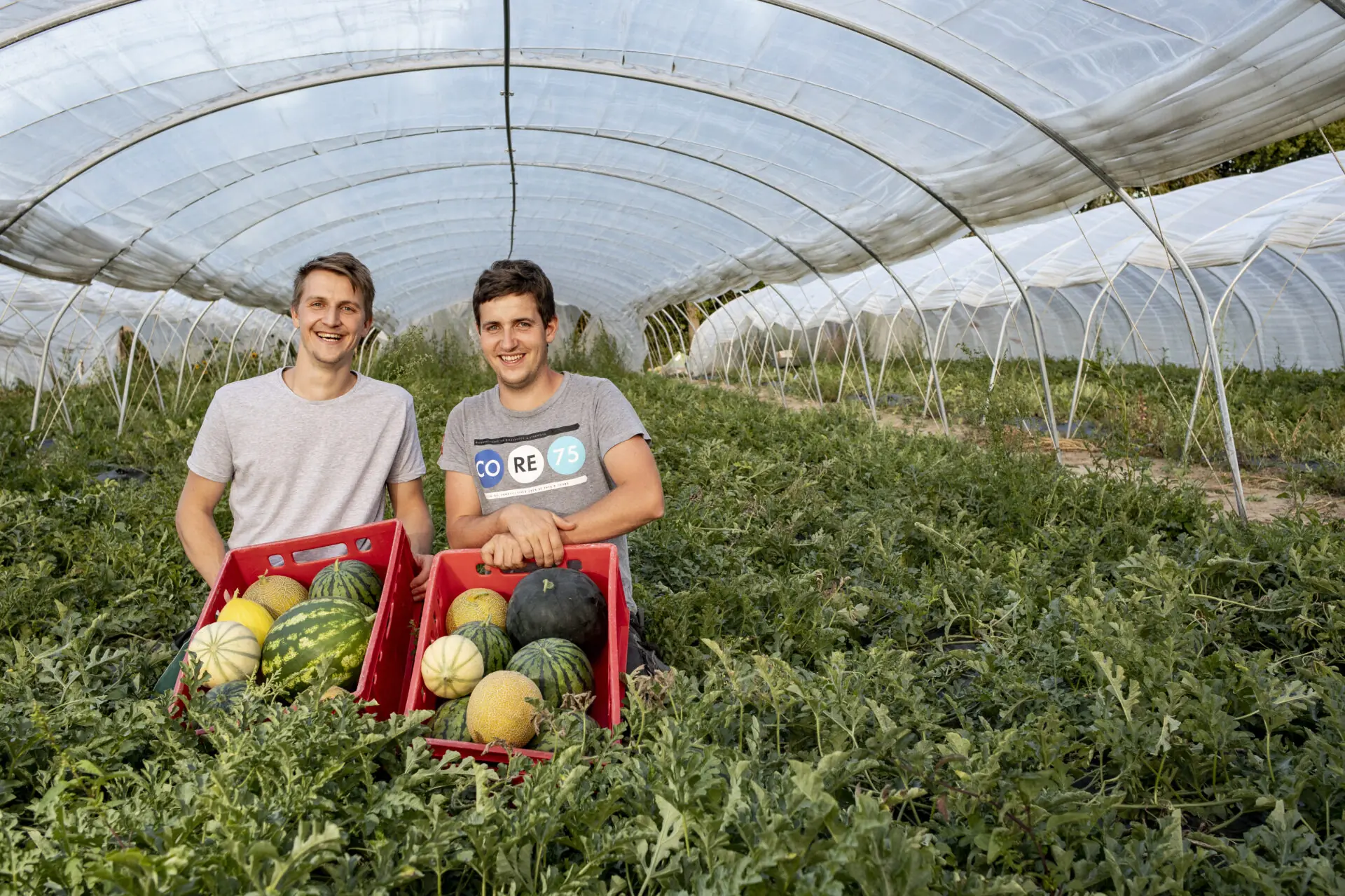 Zwei Männer stehen in einem Gewächshaus mit Melonen und Wassermelonen in roten Kisten, umgeben von grünen Pflanzen.