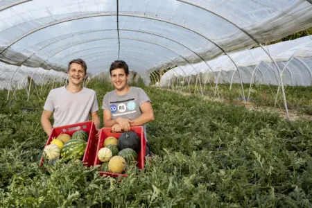 Zwei Männer stehen in einem Gewächshaus mit Melonen und Wassermelonen in roten Kisten, umgeben von grünen Pflanzen.