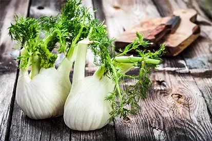 Foto: Fenchel