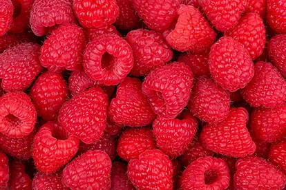 Ein Haufen an roten Himbeeren