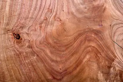 zwetschgen_holz_content