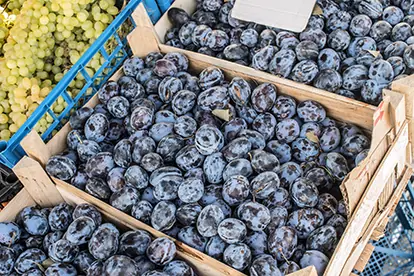 Frische Zwetschgen aus Bayern in Holzkisten, umgeben von Trauben, auf einem Markt präsentiert.